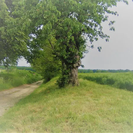 Kemping Gutshof Tda-lohma