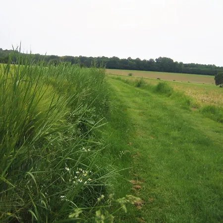 Gutshof Tda-lohma Kemping *