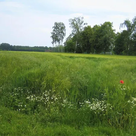 Gutshof Tda-lohma Langenleuba-Niederhain